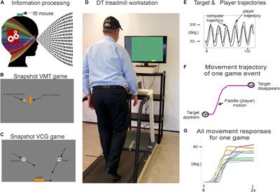 Computerized Dual-Task Testing of Gait Visuomotor and Cognitive Functions in Parkinson’s Disease: Test-Retest Reliability and Validity